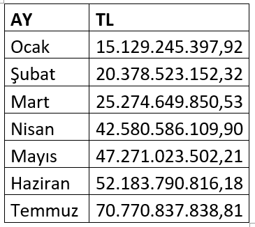 Şehir Hastaneleri: Dev Yatırım mı, Dev Yük mü? 2025'in İlk Yedi Ayında 70.7 Milyar TL Yuttu!